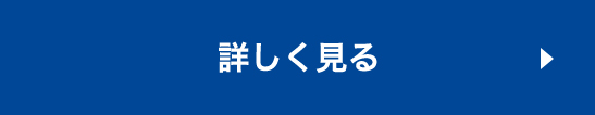 詳しく見る